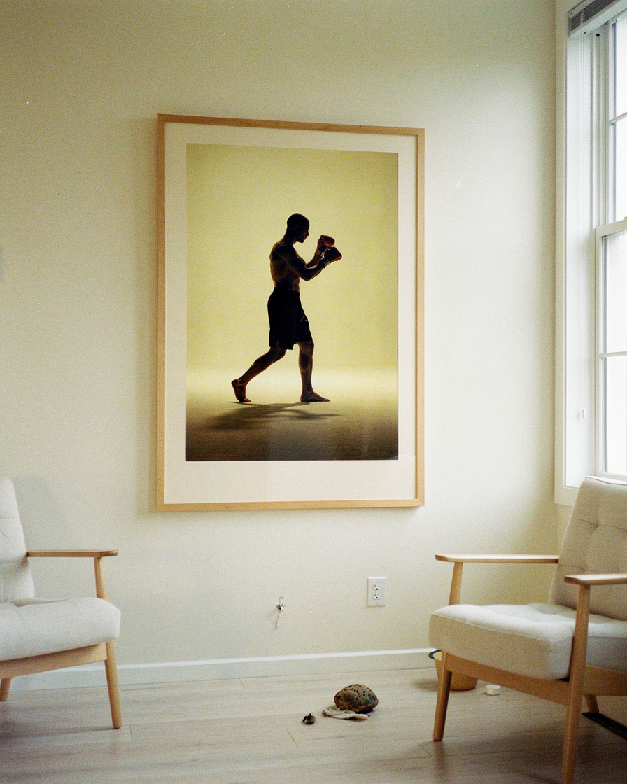 The Boxer Form