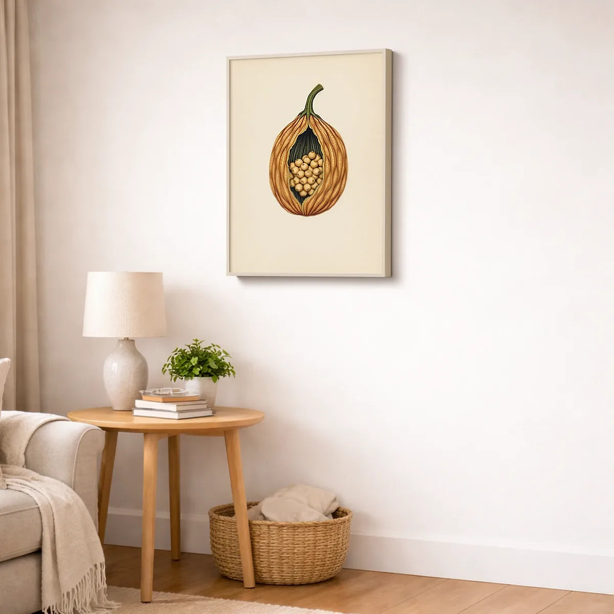 Banksia Pod Botanical Print