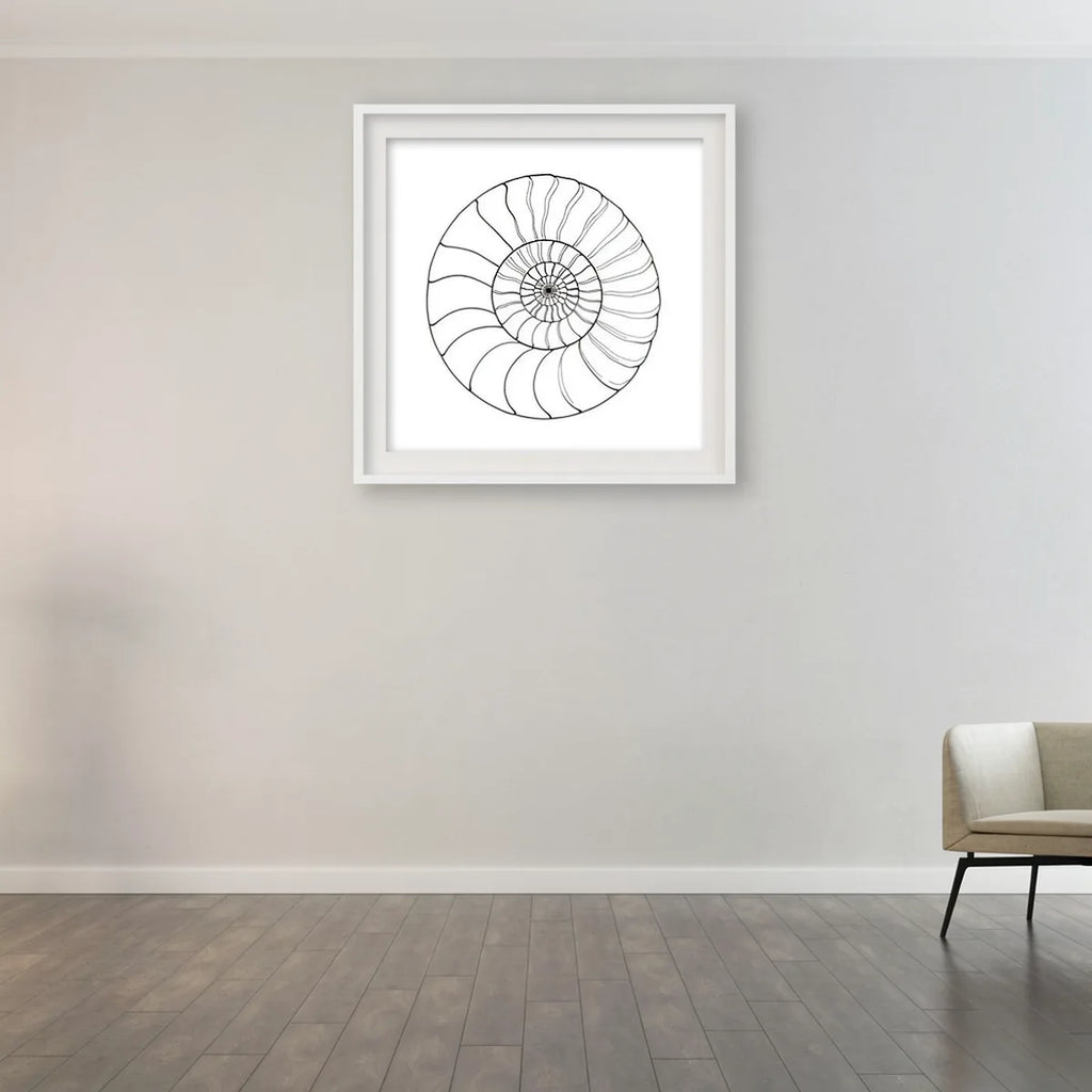 Nautilus Shell Minimal Line Art