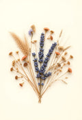 Pressed Wildflower Botanical Print