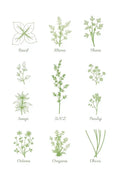 Nine Herbs