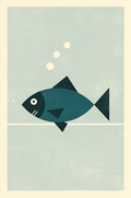 The Fish