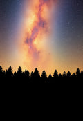 Endless Night