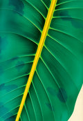 Tropical Leaf Close-Up Art Print