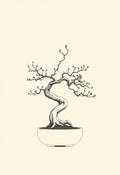 Bonsai Tree Minimal Line Art Print