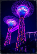 Singapore Supertrees Night Poster