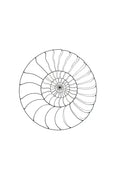 Nautilus Shell Minimal Line Art