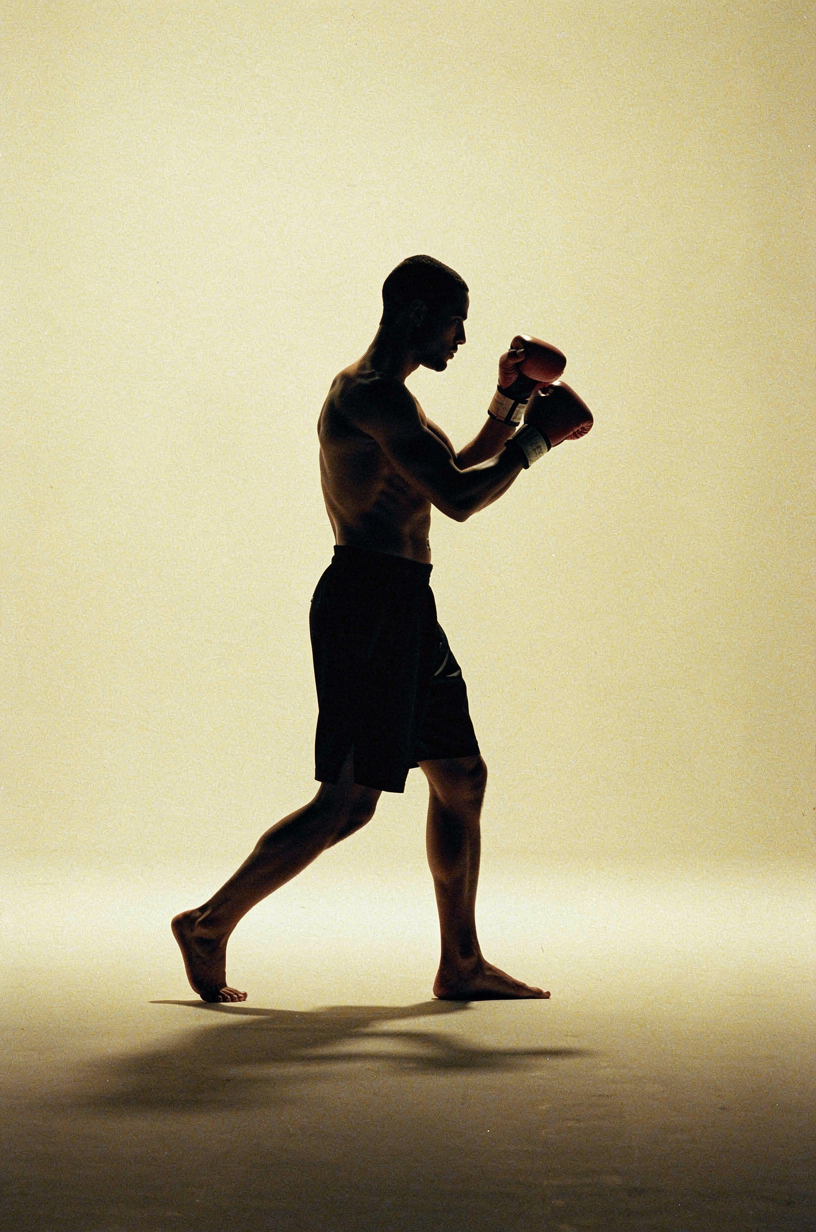 The Boxer Form