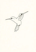 Minimal Hummingbird Line Art Print