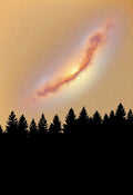 Milky Way Forest Galaxy Print