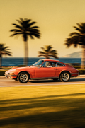 Mediterranean Motion
