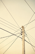 The Utility Pole Wires